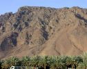 uhud7.jpg