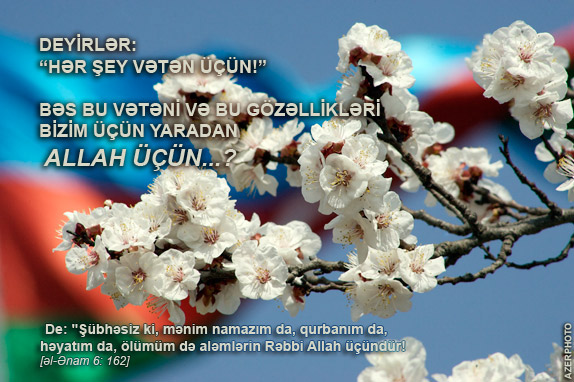 Hər şey vətən üçün?